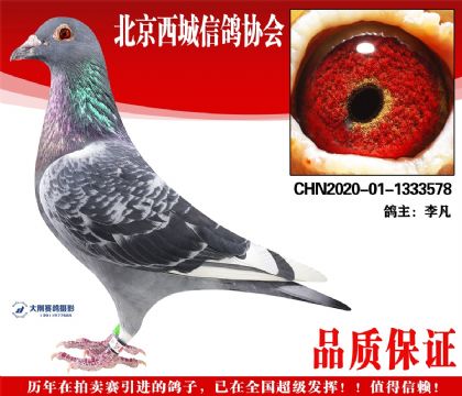 ���20-01-1333578