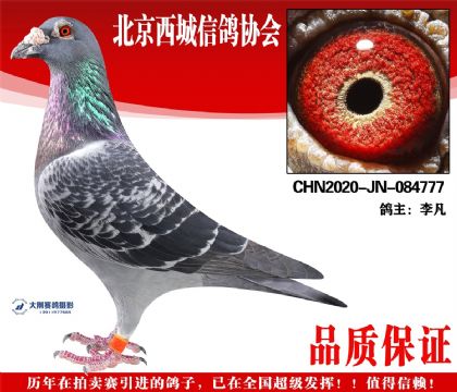 ���20-JN-084777