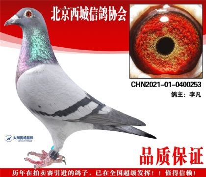 ���21-01-0400253