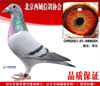 ���21-01-0400254