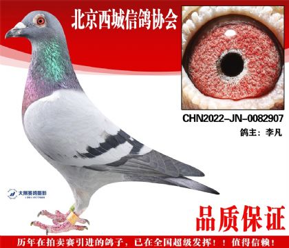 ���22-JN-0082907