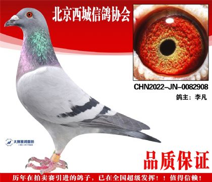 ���22-JN-0082908