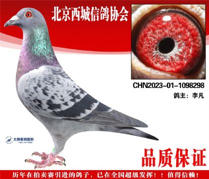 ���23-01-1098298