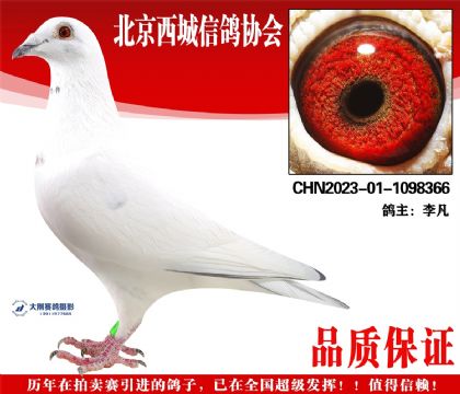 ���23-01-1098366