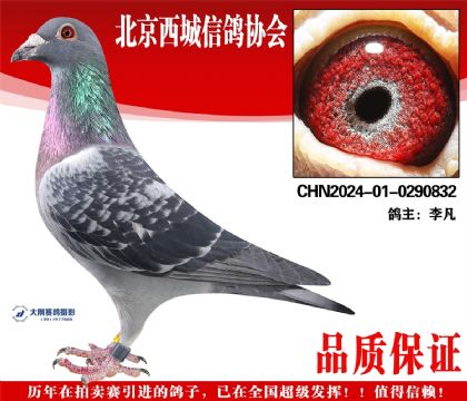 ���24-01-0290832