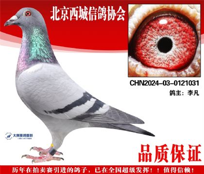 ���24-03-0121031