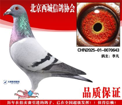 ���25-01-0070643