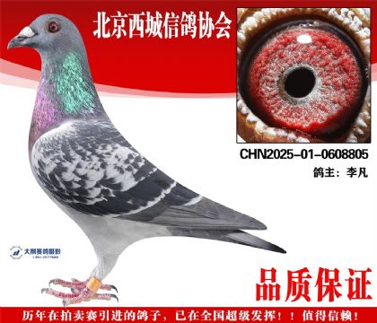 ���25-01-0608805