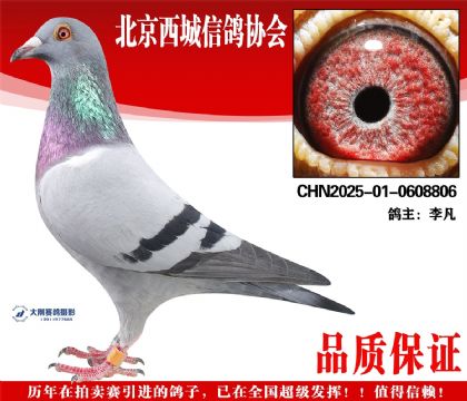 ���25-01-0608806