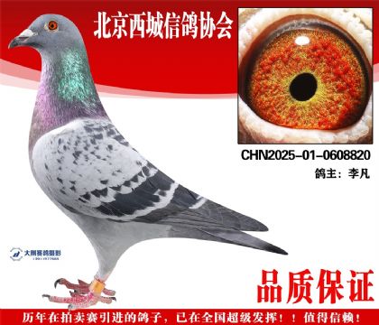 ���25-01-0608820