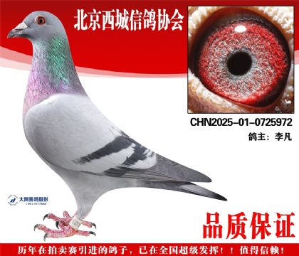 ���25-01-0725972