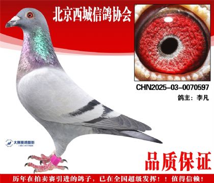 ���25-03-0070597