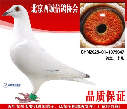 ���25-01-1079047