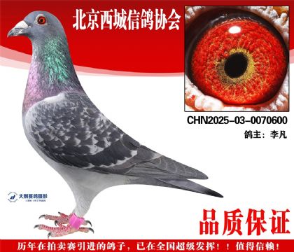 ���25-03-0070600