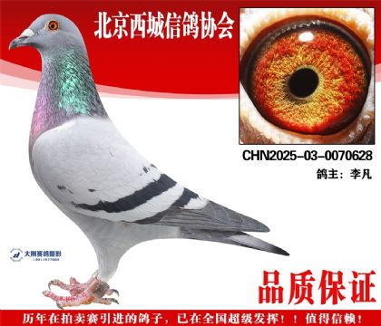 ���25-03-0070628