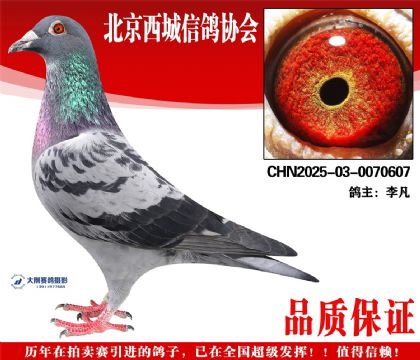 ���25-03-0070607