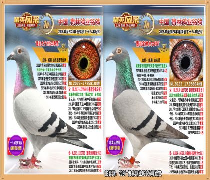 ī�ƶ���ֱ����ī�ƶ�����Ů.2926�𼾾�ֱŮ