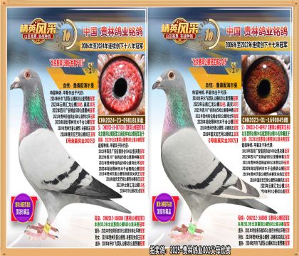 �������蹫��ھ�ֱ������蹫��ھ�ֱŮ����.ƽ�����Ǿ�����