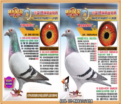 1600���½�ķȫ��������098ֱ��.ƽ��������������ھ�