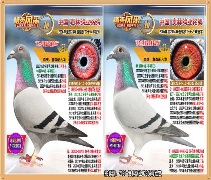 ���������Ǿ����俪�������Ǿ���Ů����.ƽ������Ǿ�����