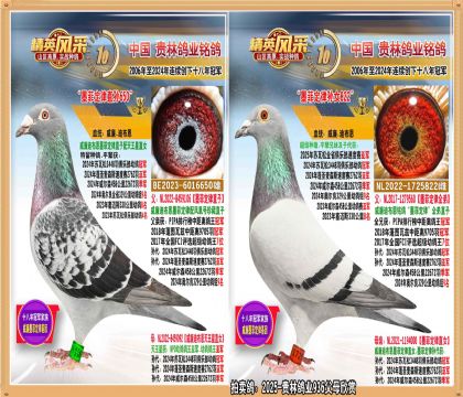 ī�ƶ�������ī�ƶ�����Ů����. ƽ���������Ǿ�����