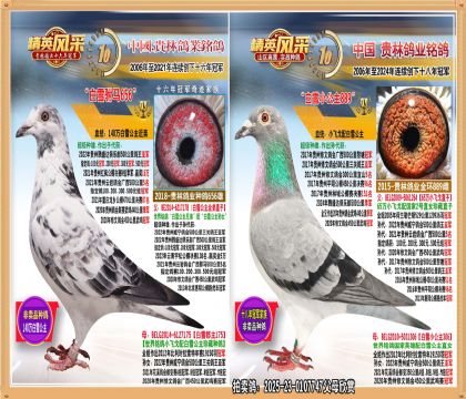 65��С�ɸ���140���ѩ���������ִ�.ƽ�����Ǿ�����