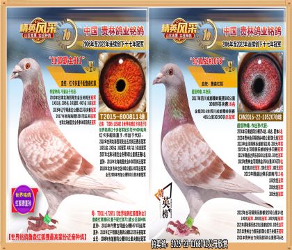 3����16��ֱŮ.ƽ������500����ھ�.����46��75��