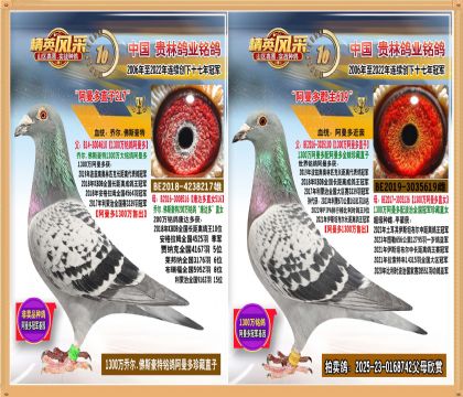 1300������ֱ���䰢������Ů��������.ƽ���������Ǿ�����