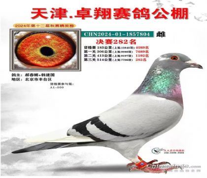 ���׿�����282��