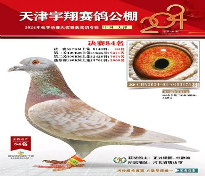 ����������84��