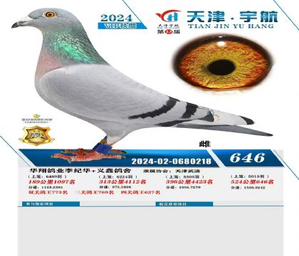 ��������646��