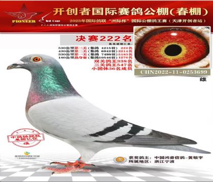 �����������222��