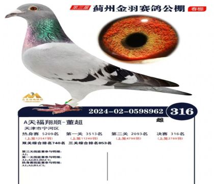 �K�ݽ��������316��