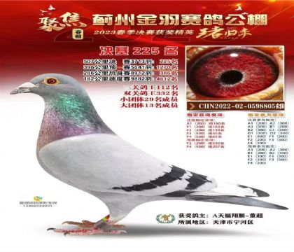 �K�ݽ��������225��