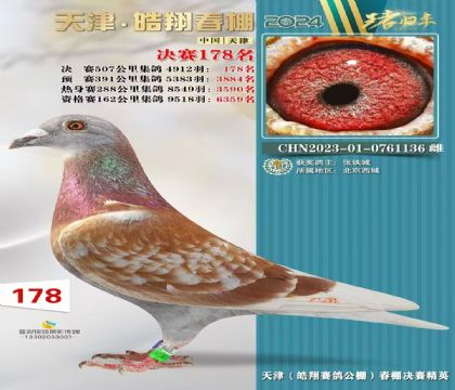 �����贺�����178��