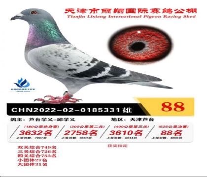 ��������蹫�����88��