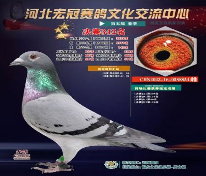 �ӱ���ھ���342��