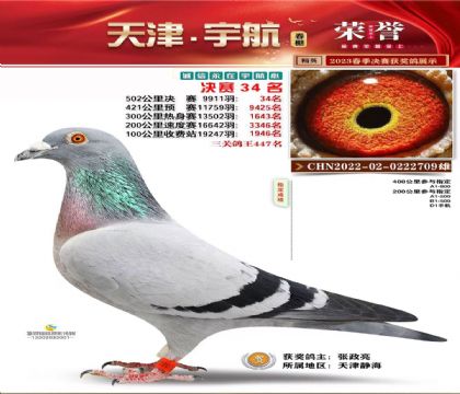 �����������34��