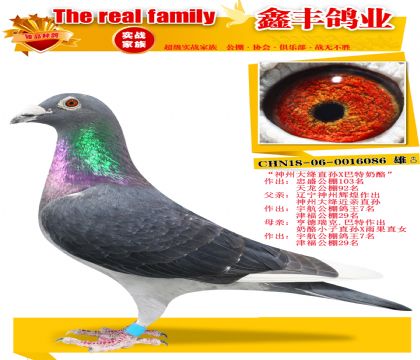 �����ݴ��ֱ��X�������ҡ�