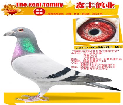 ������240ֱ��X������������ƽ����