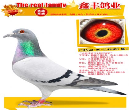 ���ܽ�ͷֱ��X�����ھ���