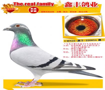 ���ɸ괫������X�ɸ���Ů��