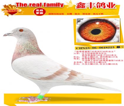 ���˵�����˹740���ס�