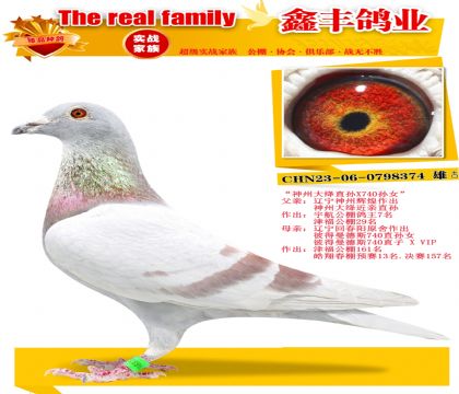 �����ݴ��ֱ��X�˵�����˹740��Ů��