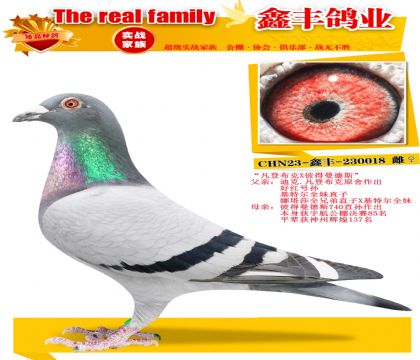 �����ǲ���X�˵�����˹��