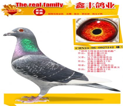 �����ݴ��ֱ��X�������ҡ�