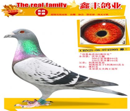 ��������ֱ��X��ƿˡ�