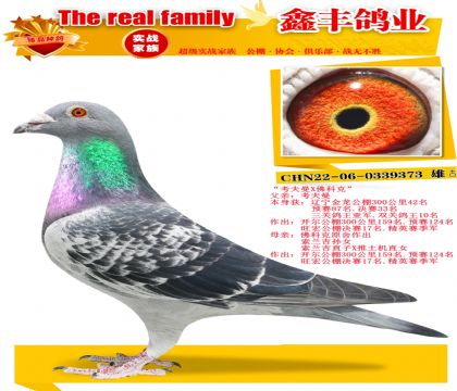 ��������X��ƿ���������Ů��