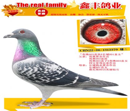 ������003��X����801��