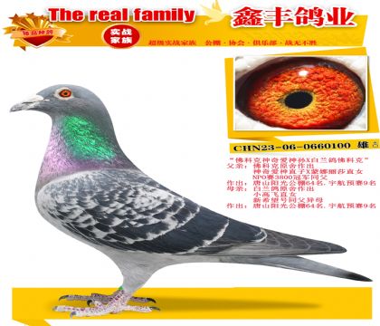 ����ƿ����氮����X�������ƿˡ�